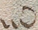 Source crop: 54v · yale-1006181-CS00754