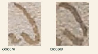 native Yale crops (v003 source-crop archive): f017v · weak_1_35