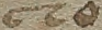 Source crop: 1r · yale-1006076-CS00679