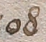 Source crop: f016r · yale-1006104-CS00290