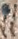 source crop: f085v_and_f086r_foldout · f085v_and_f086r_foldout-O015834