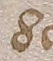 Source crop: f016r · yale-1006104-CS00235