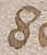 Source crop: f016r · yale-1006104-CS00235