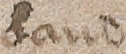 Source crop: 66r · yale-1006192-CS02220
