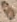 source crop: f115v · f115v-O002062