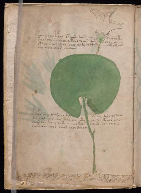 Voynich source view