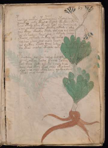 Unchanged Yale source view