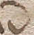 Source crop: 51r · yale-1006174-CS00674
