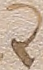 Source crop: 8v · yale-1006091-CS00501