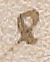 Source crop: f021v · yale-1006115-CS00336