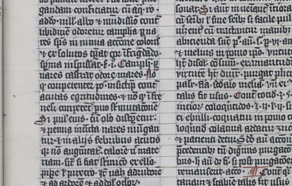 panel A37