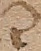 Source crop: 1r · yale-1006076-CS00365