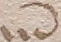 Source crop: 114r · yale-1006272-CS00155