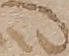Source crop: 8v · yale-1006091-CS01294