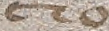 Source crop: 30r · yale-1006132-CS01499