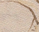 Source crop: 10r · yale-1006094-CS00358