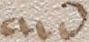 Source crop: 95v · yale-1006243-CS00595