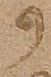 Source crop: f001r · yale-1006076-CS00329