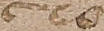 Source crop: 1r · yale-1006076-CS00970