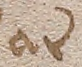 Source crop: f096v · yale-1006245-CS00639