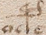 Source crop: 46v · yale-1006165-CS00167