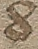 Source crop: 1r · yale-1006076-CS00727