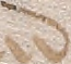 Source crop: 27r · yale-1006126-CS00384