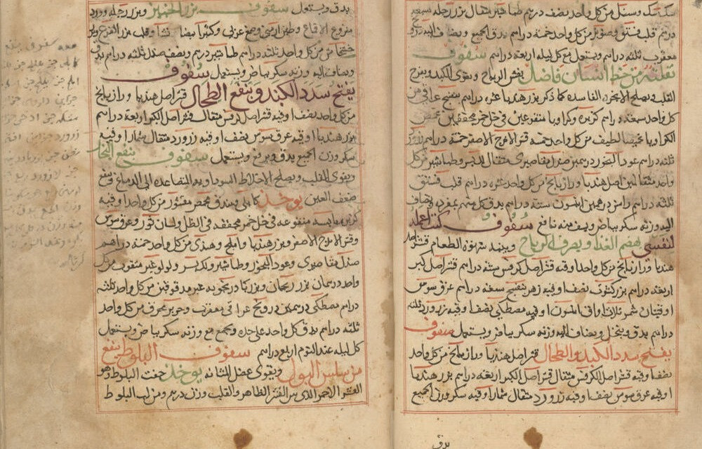 panel A38