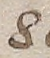 Source crop: f007v · yale-1006089-CS00519