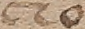 Source crop: 1v · yale-1006077-CS01436