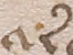 Source crop: 43v · yale-1006159-CS00121