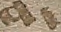 Source crop: 1r · yale-1006076-CS00742