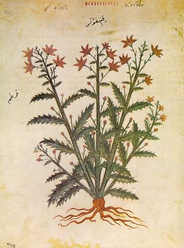Vienna Dioscurides, Knikos, folio198v
