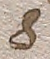 Source crop: f016r · yale-1006104-CS00370
