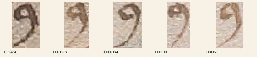 native Yale crops (v003 source-crop archive): f048r, f084v, f094r, f111r, f114v · overbroad_V6F000005
