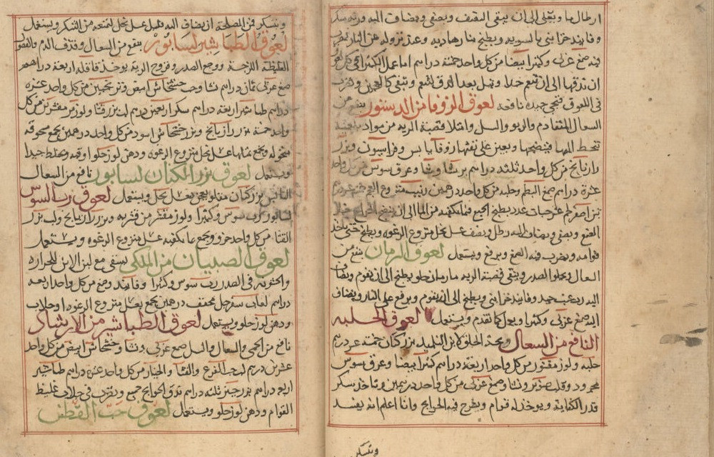 panel A19