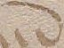 Source crop: 42r · yale-1006156-CS00748