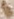 source crop: f058r · f058r-O000661