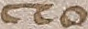 Source crop: 16r · yale-1006104-CS00276