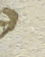 Source crop: Padua f.27v · H02