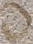 Source crop: 88v and 89r · yale-1006233-CS02557
