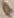 source crop: f085r_part_f086v_part_part_of_85-86_foldout · f085r_part_f086v_part_part_of_85-86_foldout-O001060