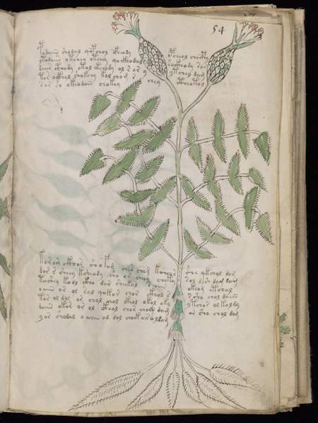 Voynich source view