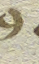 Source crop: Padua f.37r · H03
