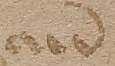 Source crop: f001r · yale-1006076-CS01390