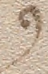 Source crop: f053r · yale-1006178-CS01617