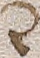 Source crop: 47v · yale-1006167-CS00407