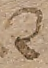 Source crop: f001r · yale-1006076-CS01714