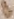 source crop: f085r_part_part_of_85-86_foldout · f085r_part_part_of_85-86_foldout-O001115