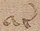 Source crop: f001r · yale-1006076-CS00420